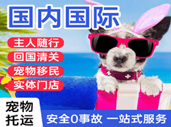阿克苏红旗坡国际宠物托运 【国